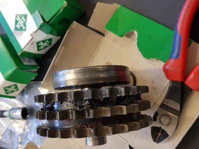 20190212_134205.jpg