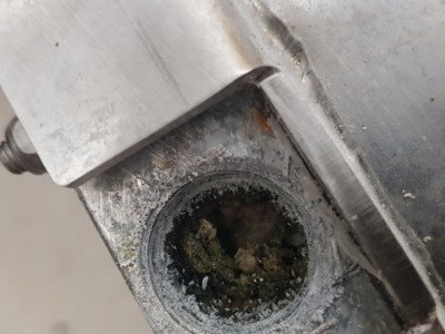 20190304_104207.jpg